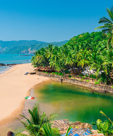 goa it. image 124